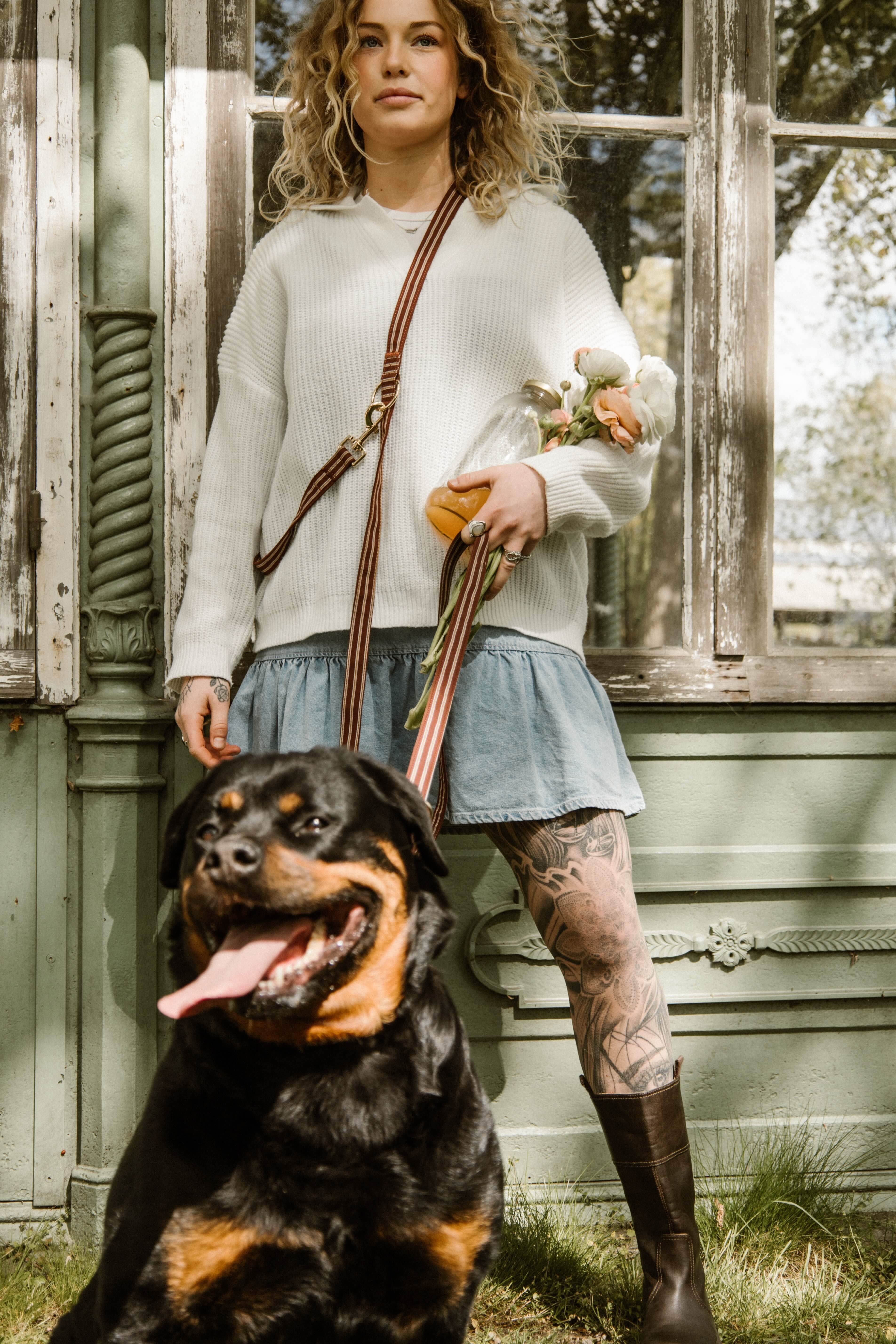 Café Stripe Leash Pre-Order