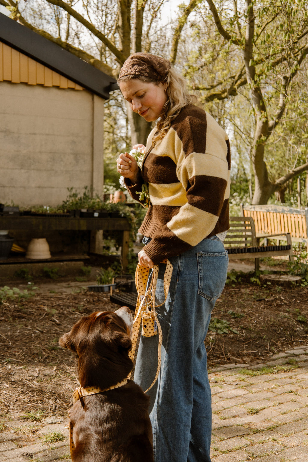 Butternut Biscuit Leash Pre-Order