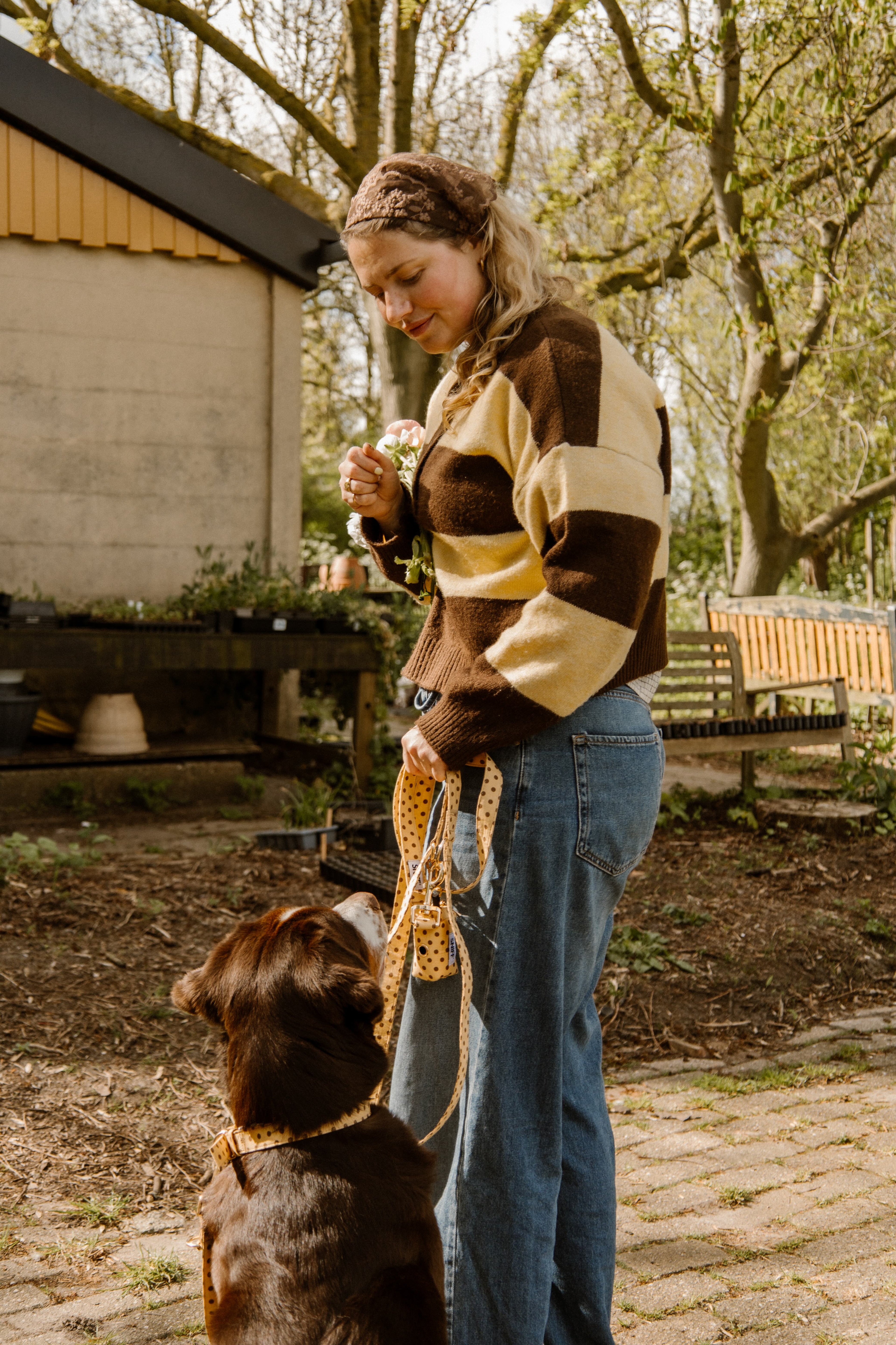 Butternut Biscuit Leash Pre-Order