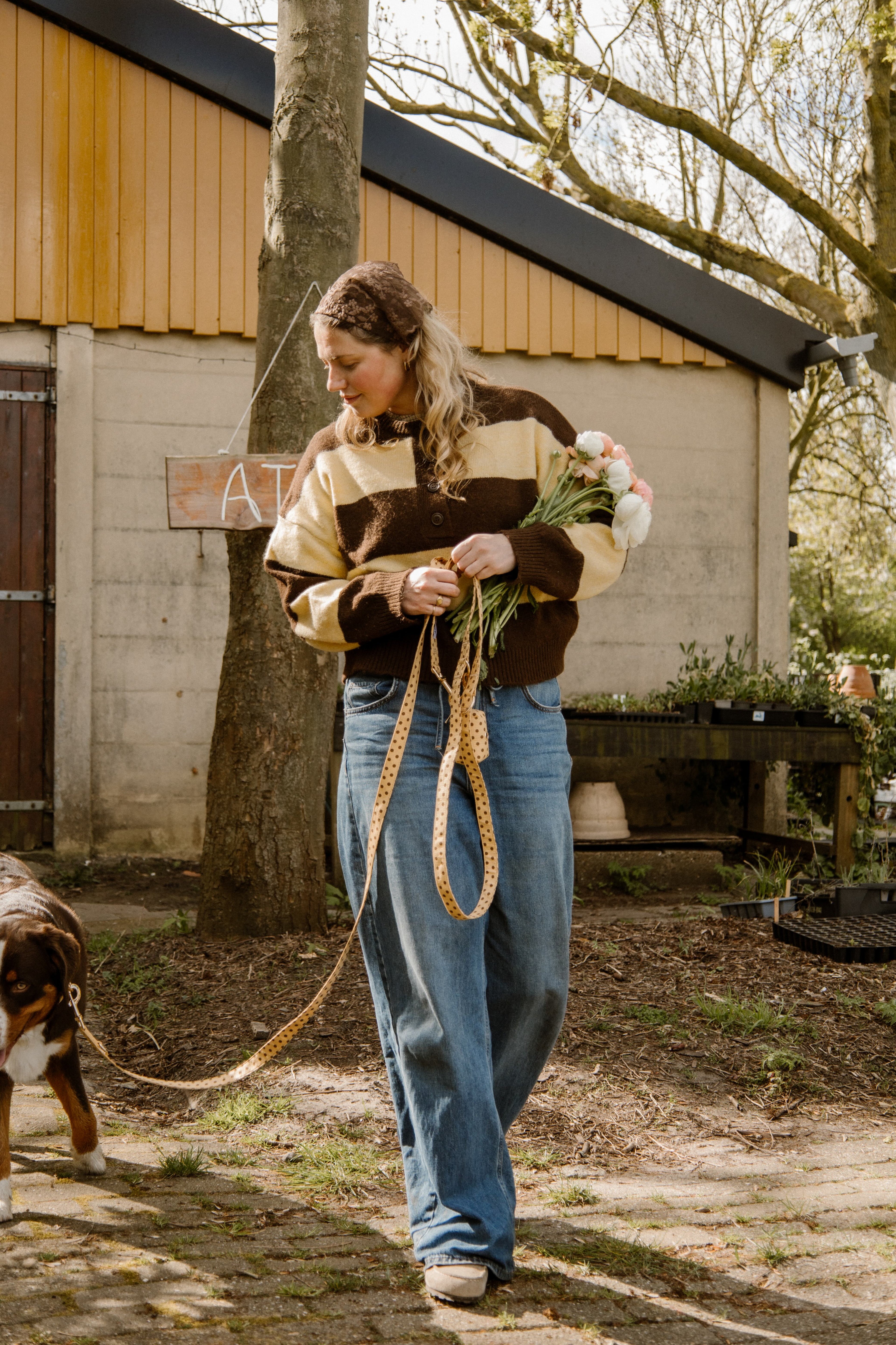 Butternut Biscuit Leash Pre-Order