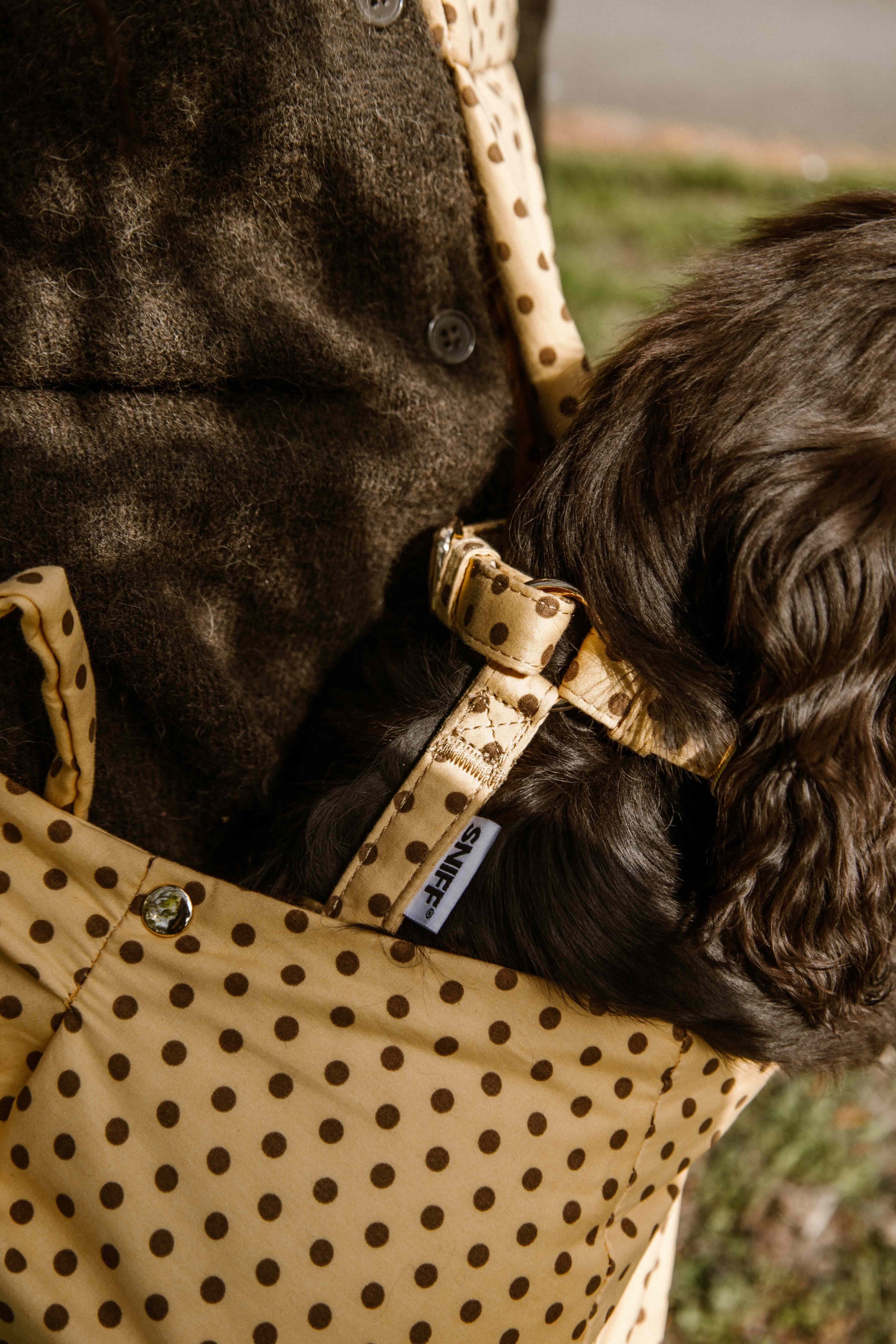 Butternut Biscuit Harness Pre-Order