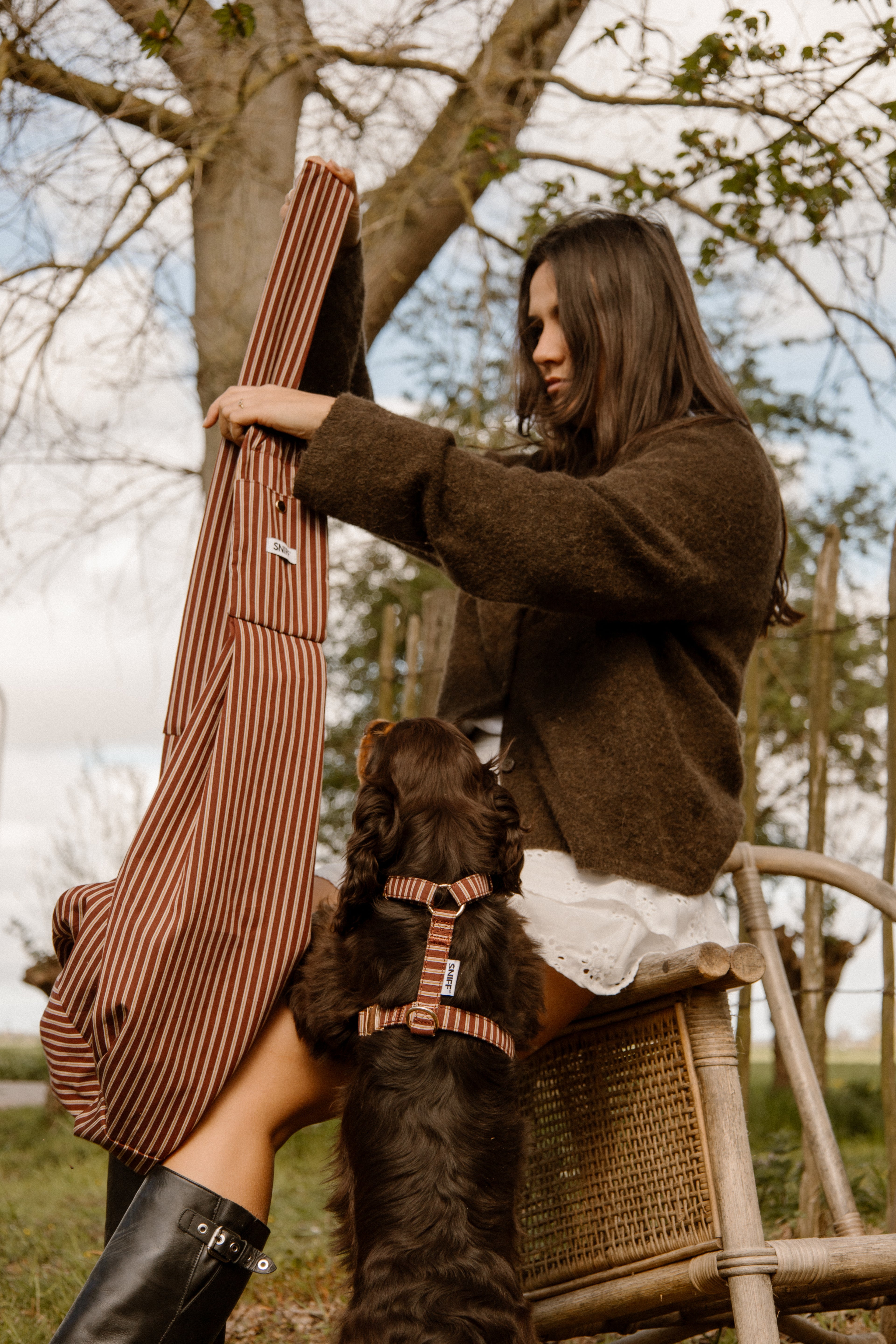 Café Stripe Harness Pre-Order