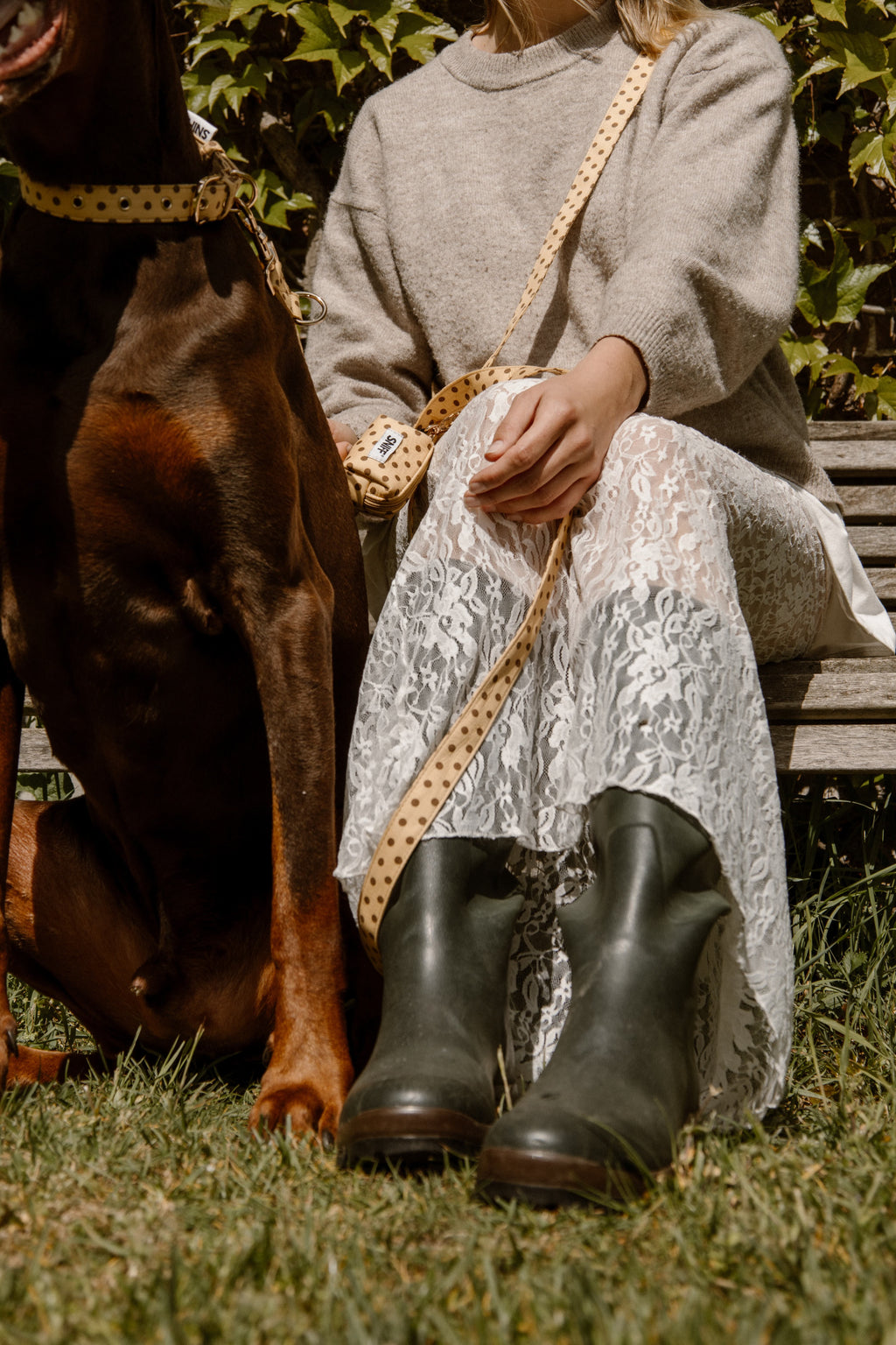 Butternut Biscuit Halsband Pre-order