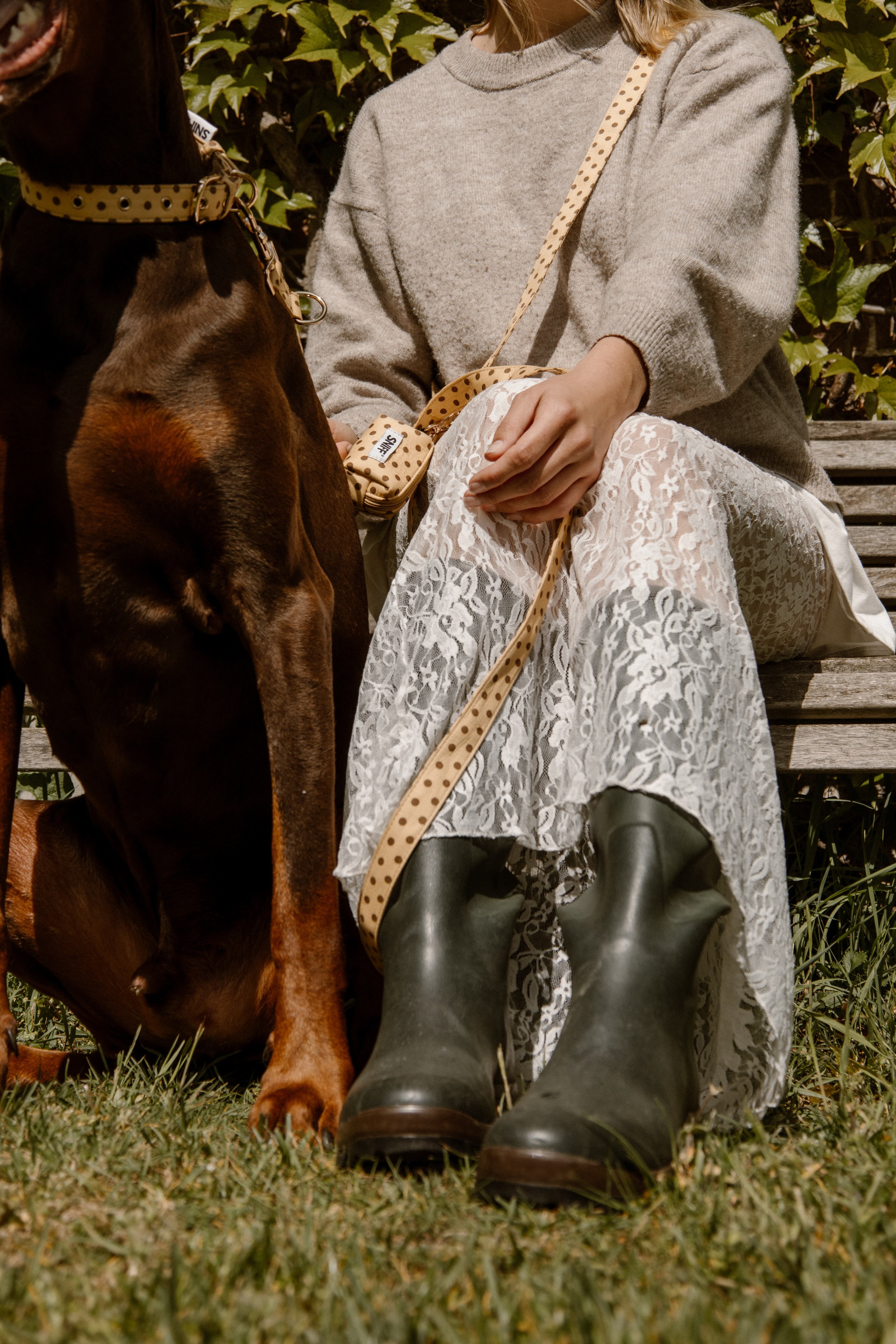 Butternut Biscuit Halsband Pre-order