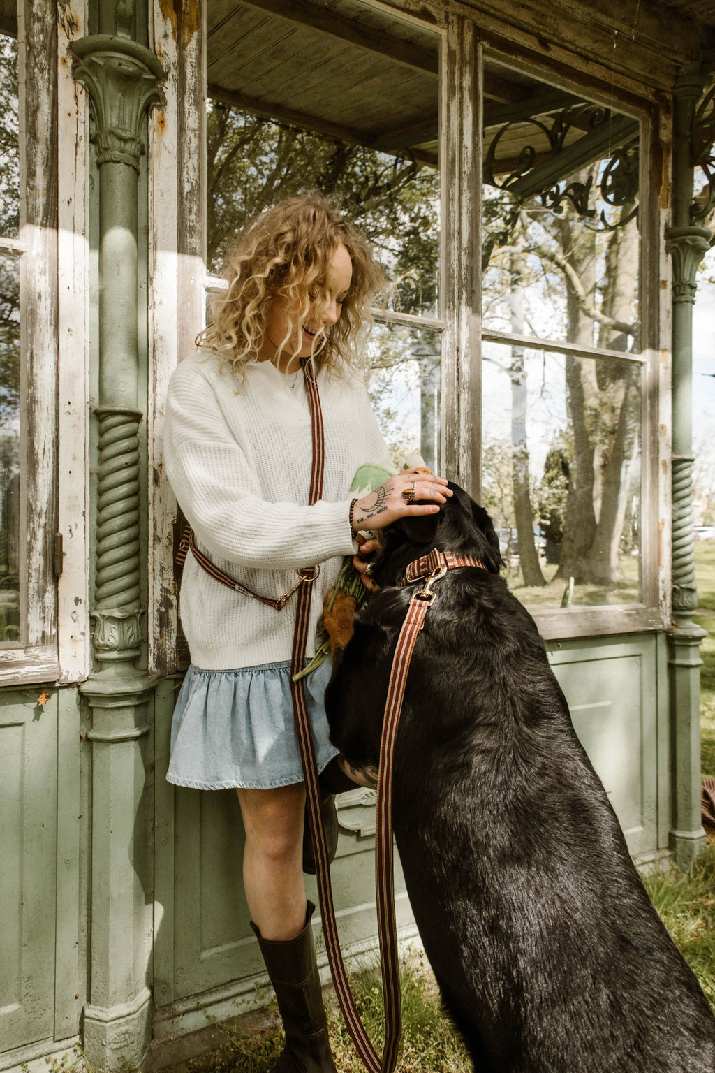 Café Stripe Leash Pre-Order